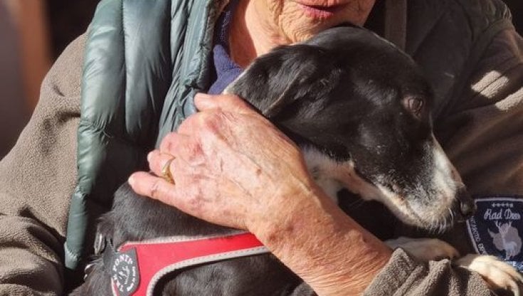 Litiga con la nonna per il cane e la rapina: 23enne arrestata dai carabinieri